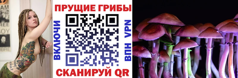 Псилоцибиновые грибы GOLDEN TEACHER  дарк нет официальный сайт  Лабытнанги 